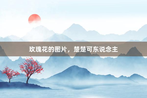 玫瑰花的图片，楚楚可东说念主